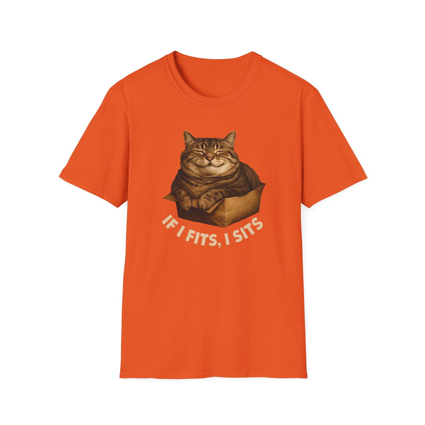 If I Fits 2 cat T-shirt