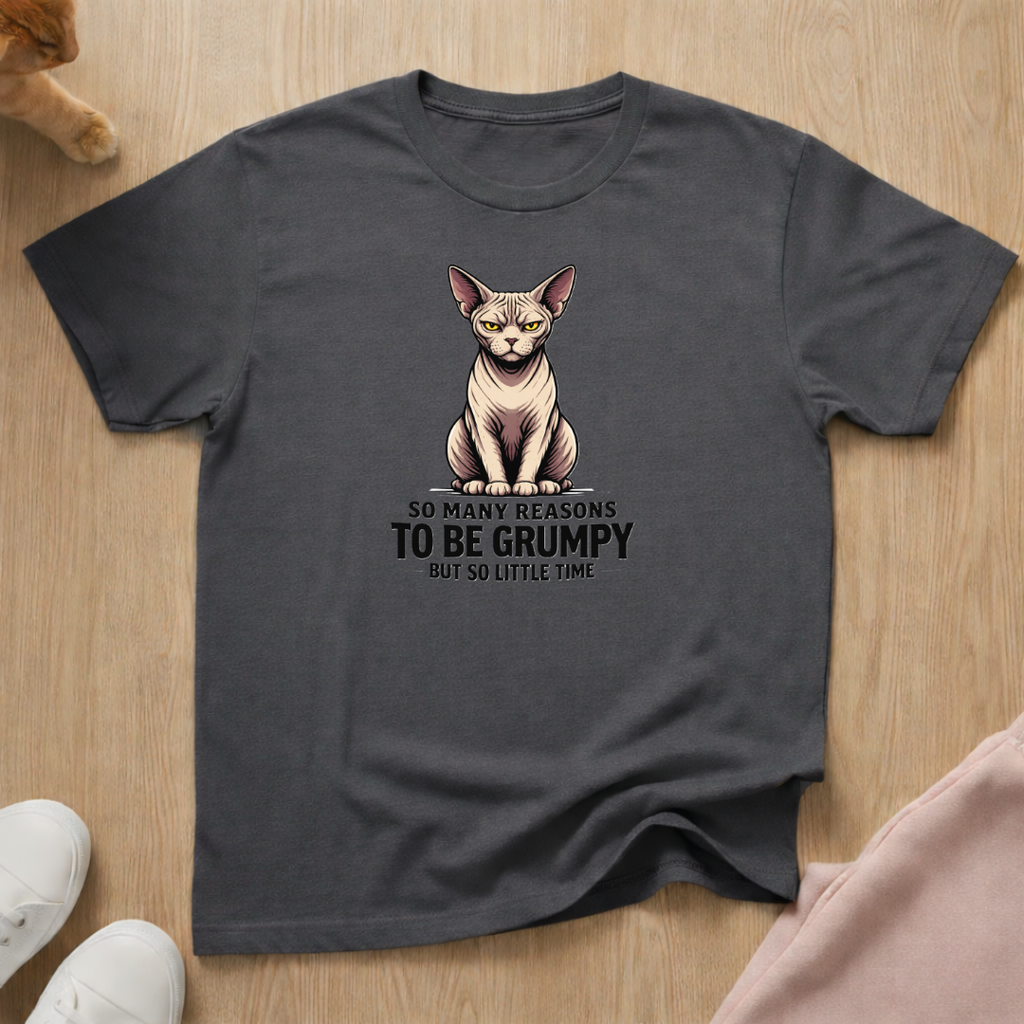 Reasons to be Grumpy T-shirt