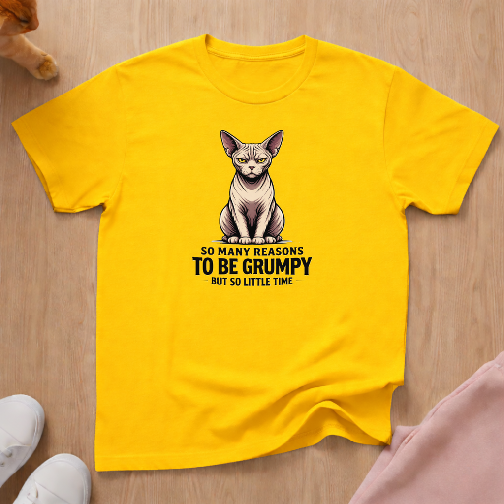 Reasons to be Grumpy T-shirt