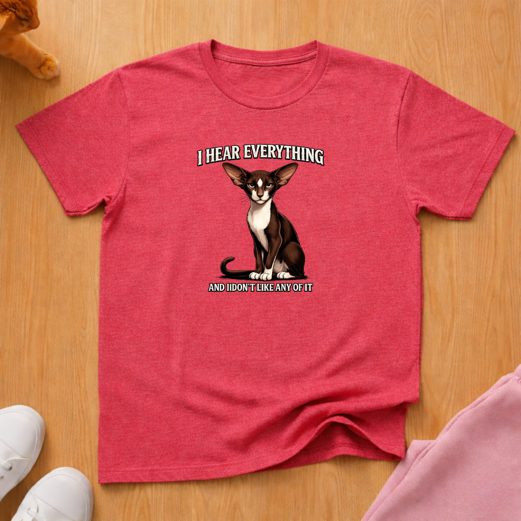 I hear everything T-shirt