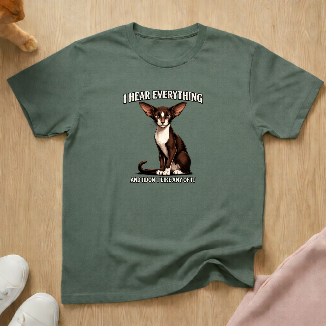 I hear everything T-shirt