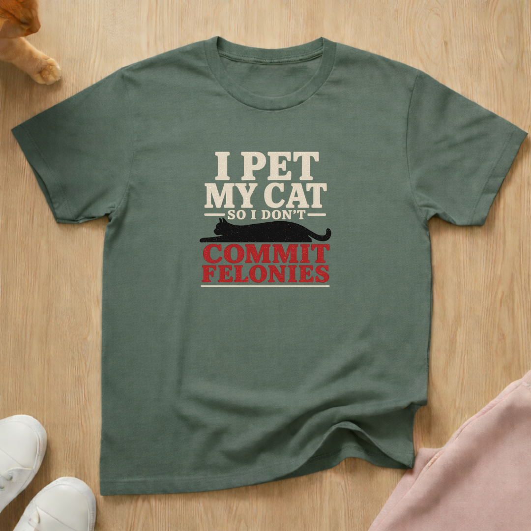 Don't commit felonies T-shirt