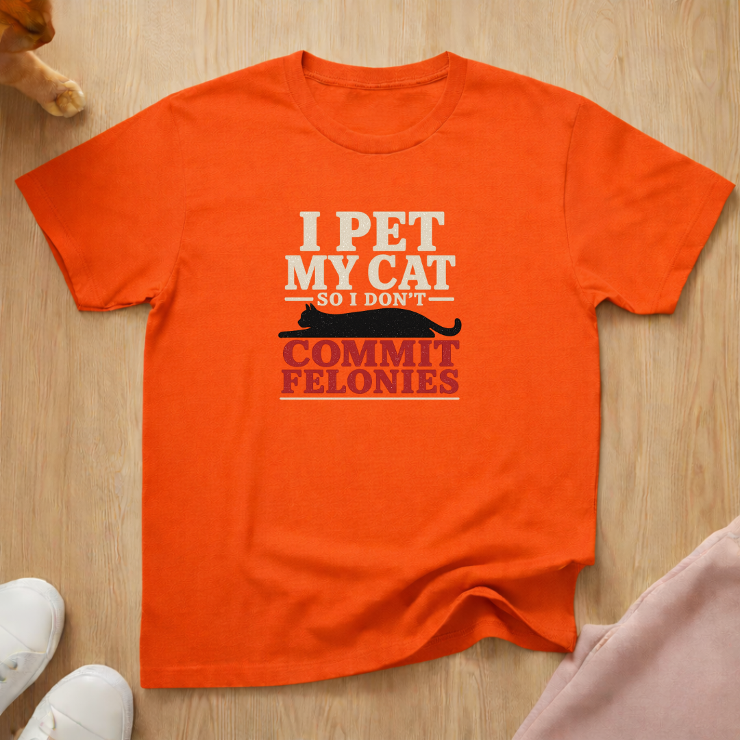 Don't commit felonies T-shirt