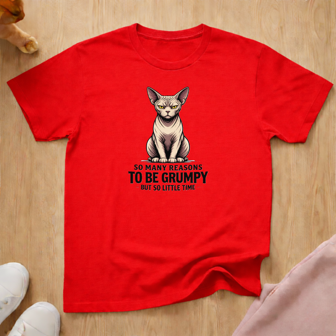 Reasons to be Grumpy T-shirt