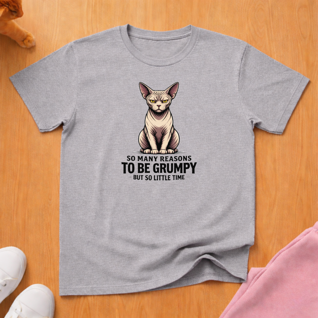 Reasons to be Grumpy T-shirt