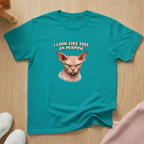 I look like this T-shirt